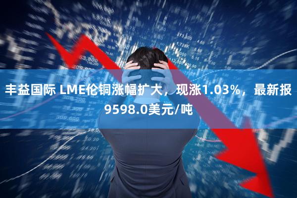 丰益国际 LME伦铜涨幅扩大，现涨1.03%，最新报9598.0美元/吨