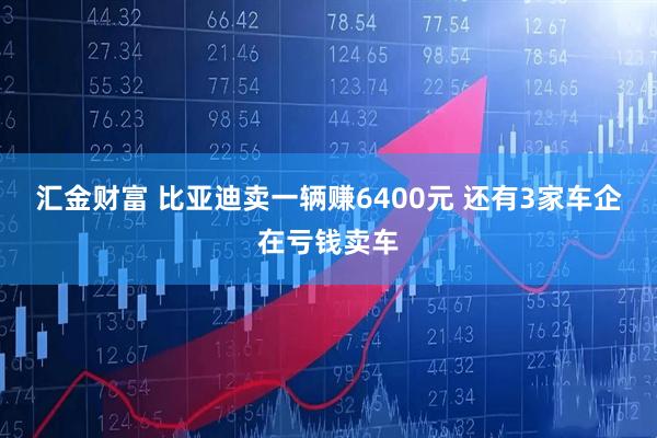 汇金财富 比亚迪卖一辆赚6400元 还有3家车企在亏钱卖车